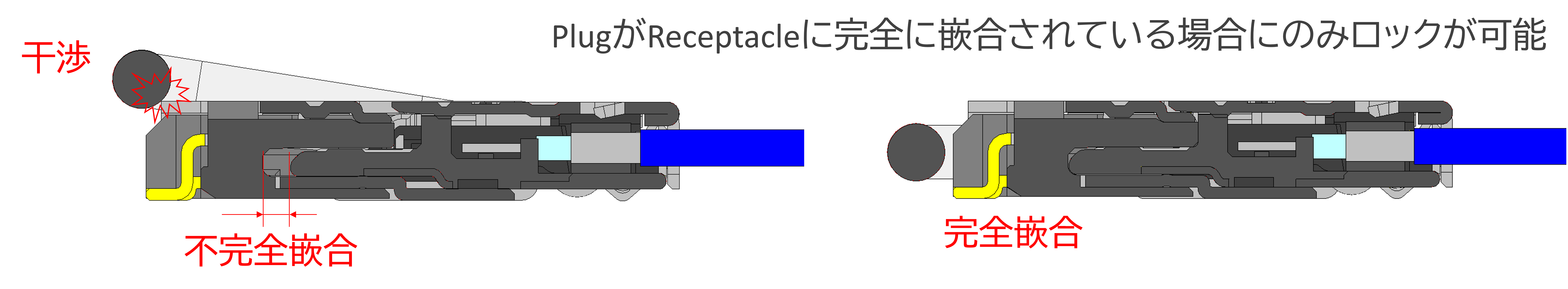 不完全嵌合, 完全嵌合