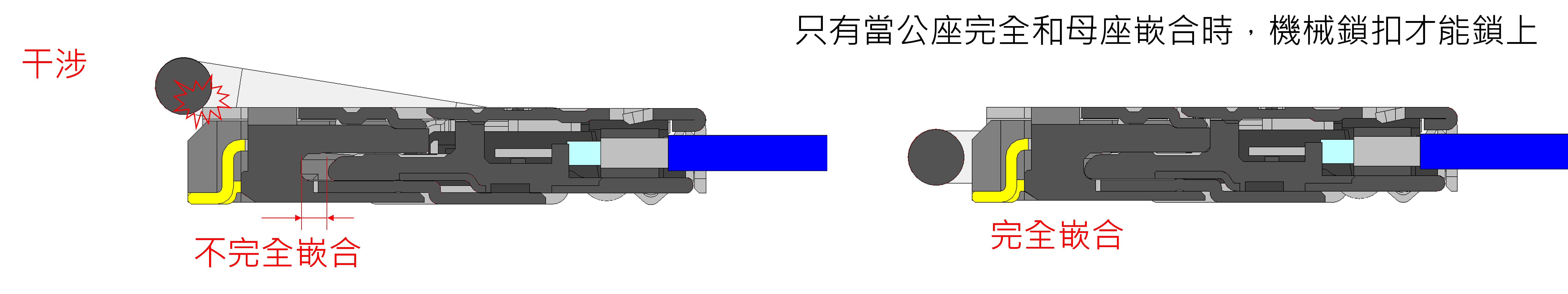 不完全嵌合, 完全嵌合