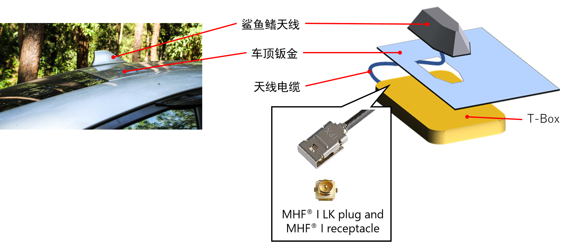 T-BOX 和鲨鱼鳍天线的连接