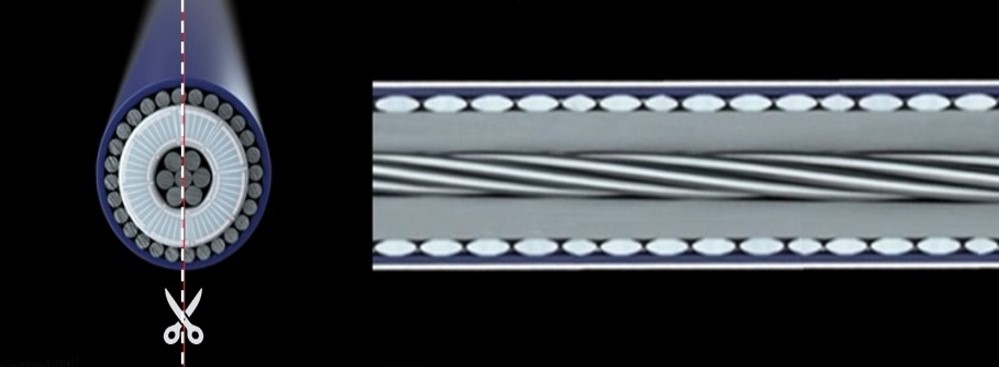 Cross section of micro-coaxial cable