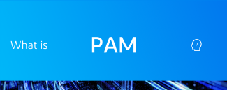 20230118_What-is-PAM.png